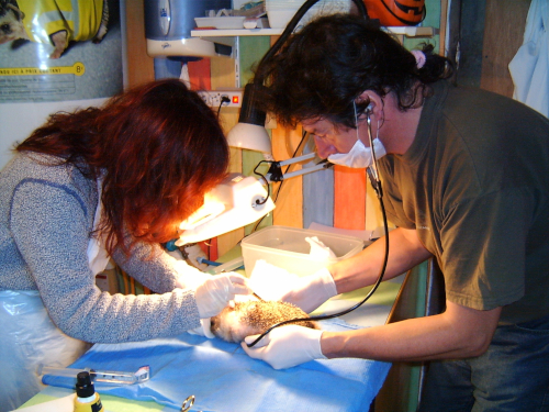 Anne et Patrick