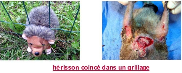 un piège mortel