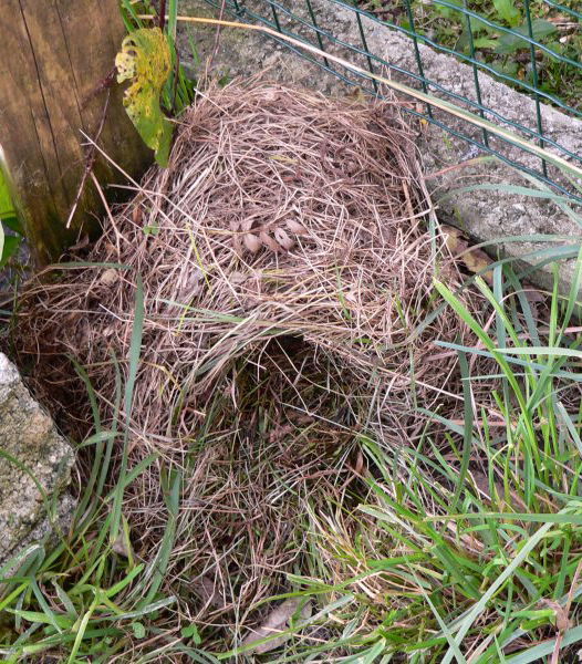 Hibernation et prévention