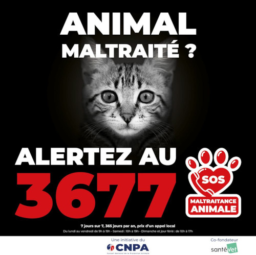 Maltraitance